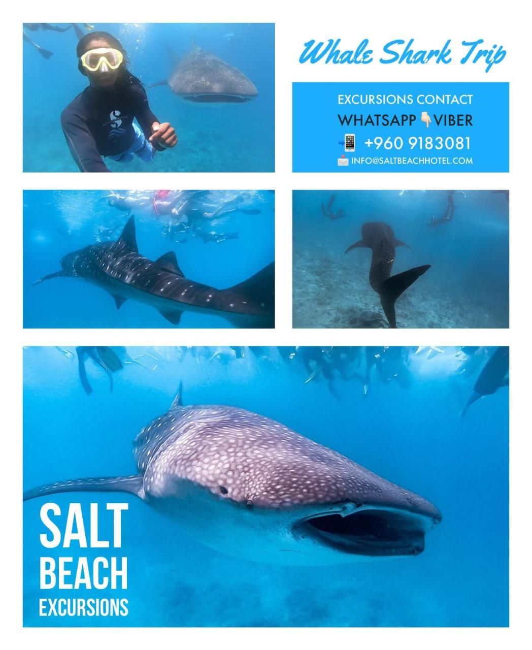 Salt 3* Maafushi